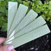 Acrylic Garden Stake (with custom labels) - Little Label Co The Home of Organisation For Kitchen, Bathroom, Laundry & More
